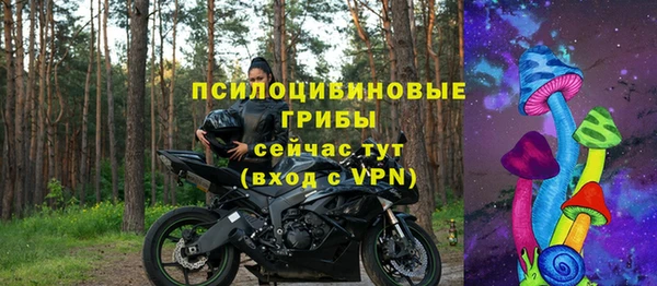 ГАЛЛЮЦИНОГЕННЫЕ ГРИБЫ Баксан